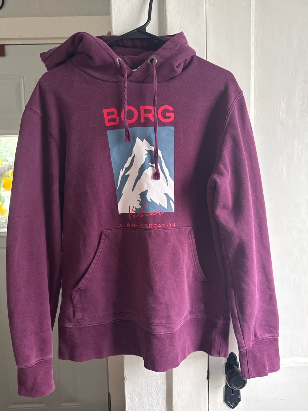 Bjorn Borg Men's Crewneck Hoodie in Plum with Blue and White Graphic